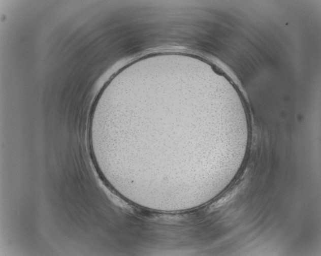 X0000060801245200512082142