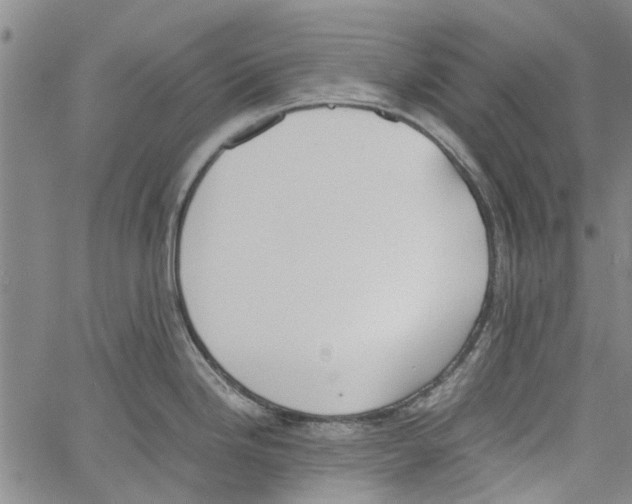 X0000060801246200512082142