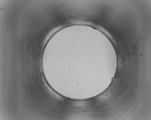 X0000060801247200512082142