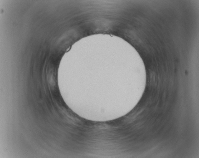 X0000060801250200512082141