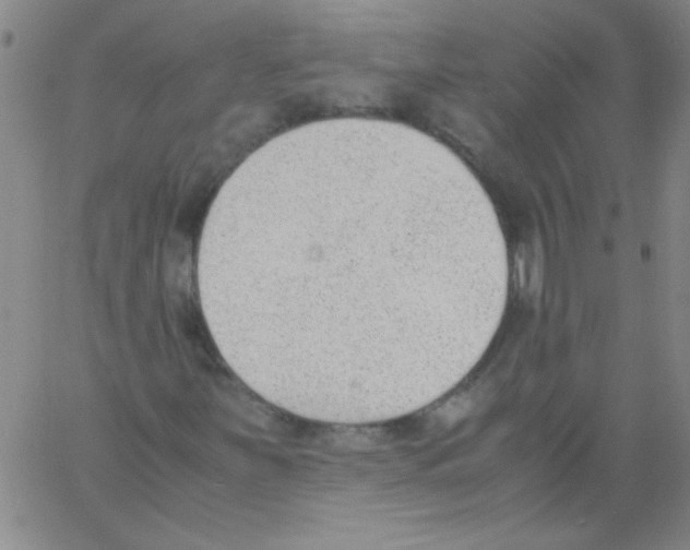 X0000060801251200512082141