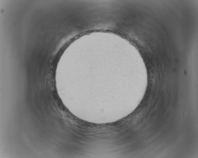 X0000060801256200512082141