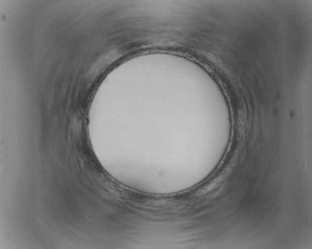 X0000060801257200512082141