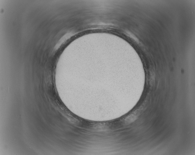 X0000060801259200512082141