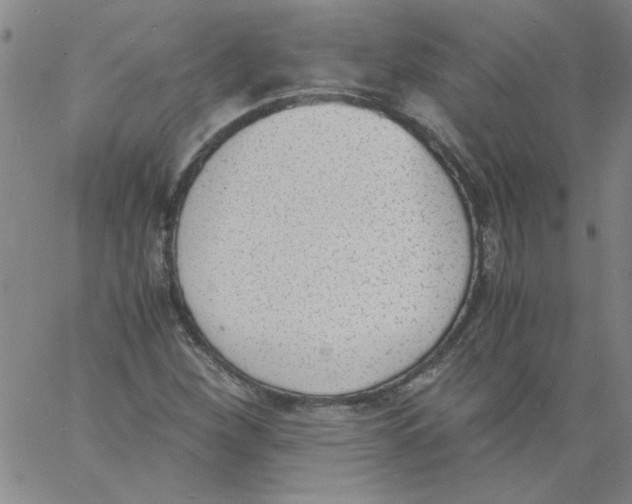 X0000060801260200512082141