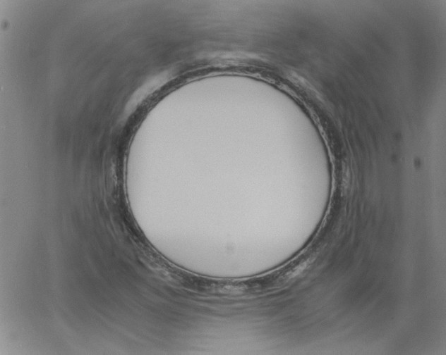 X0000060801261200512082141