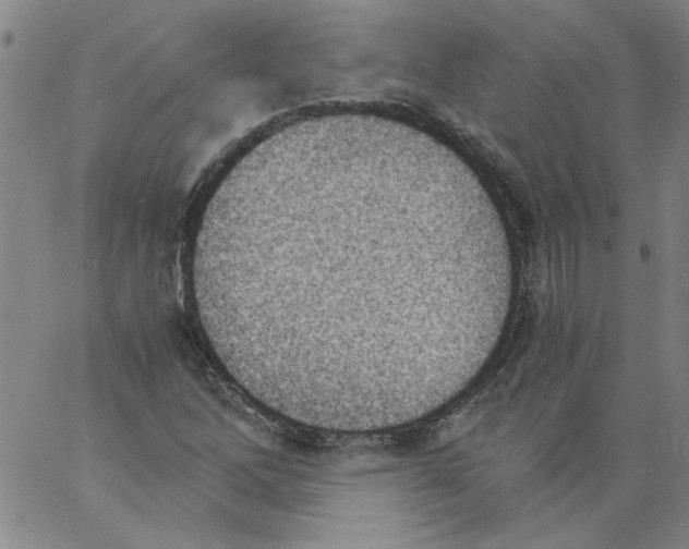 X0000060801262200512082141