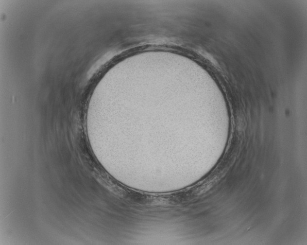 X0000060801263200512082141