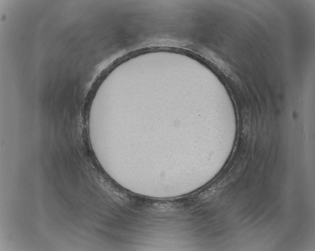 X0000060801264200512082141