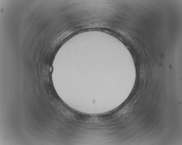 X0000060801265200512082141