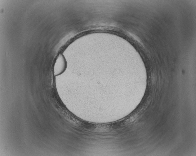 X0000060801267200512082141