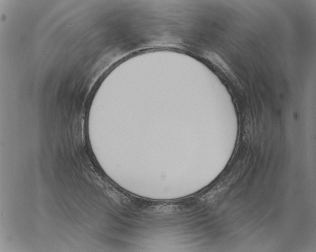 X0000060801268200512082141