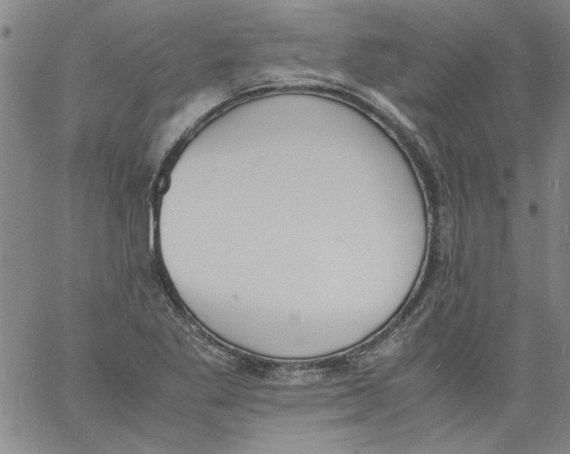 X0000060801269200512082141