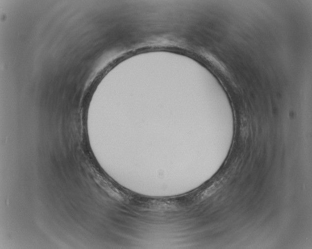 X0000060801270200512082141