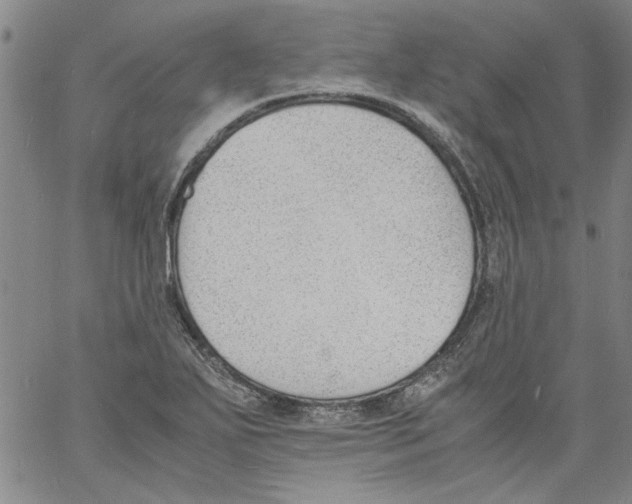 X0000060801271200512082141