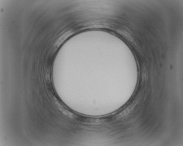 X0000060801273200512082141