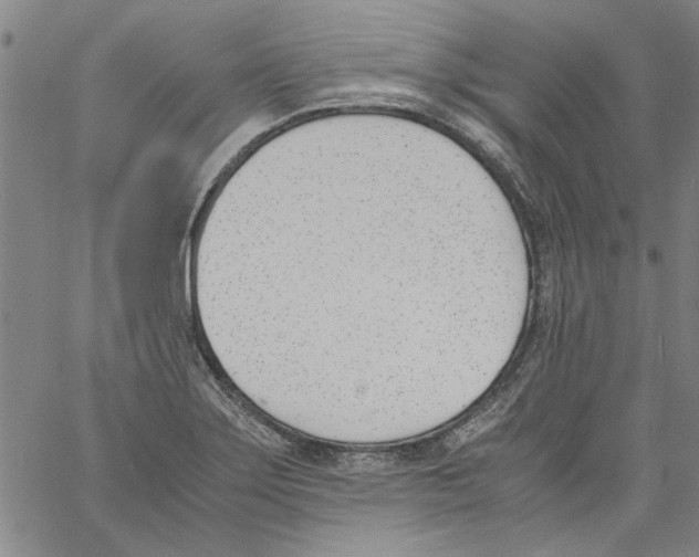 X0000060801275200512082141