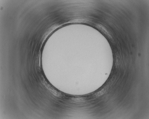 X0000060801276200512082141