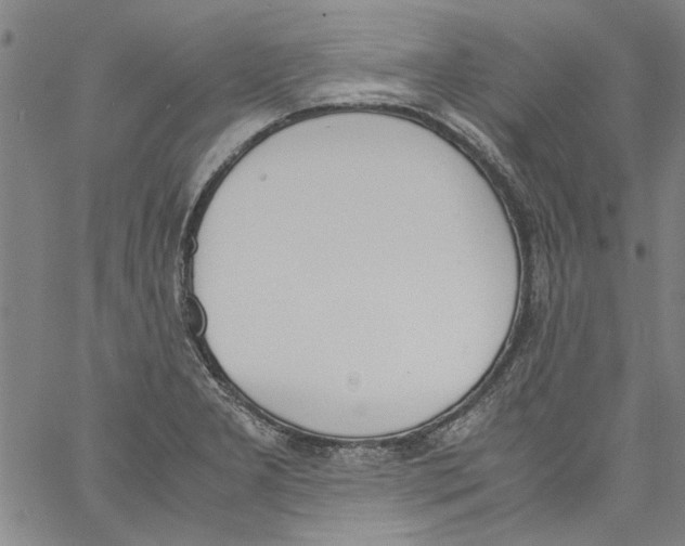 X0000060801277200512082141