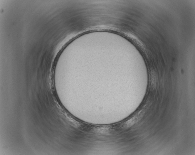 X0000060801278200512082141