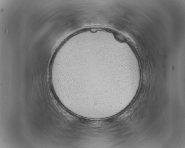 X0000060801279200512082141