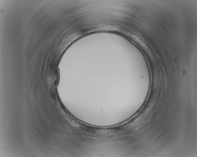 X0000060801281200512082140