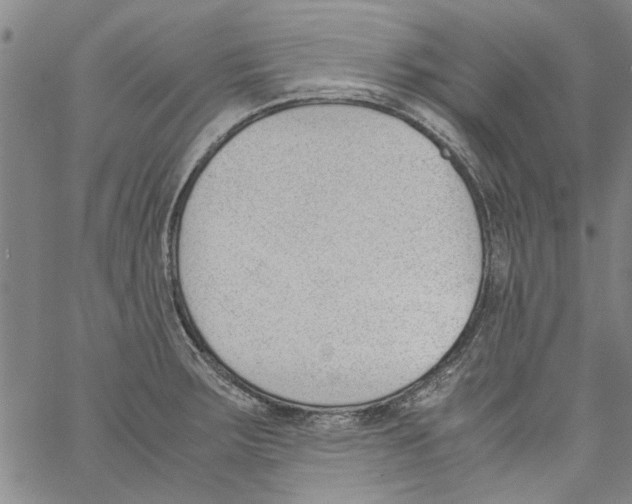 X0000060801283200512082140