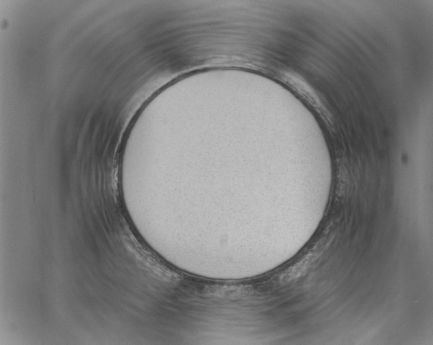 X0000060801284200512082140