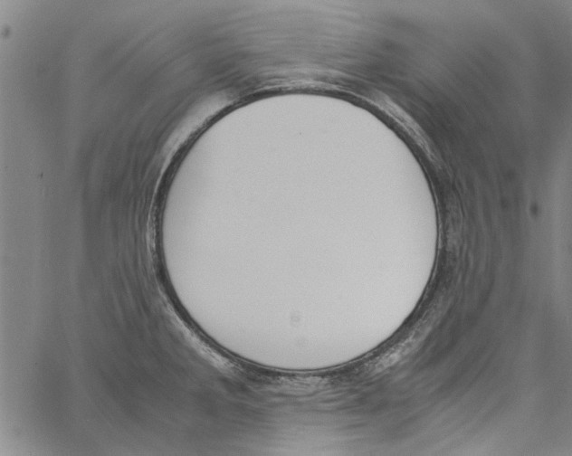 X0000060801285200512082140