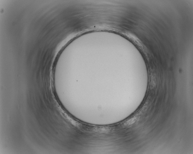 X0000060801286200512082140