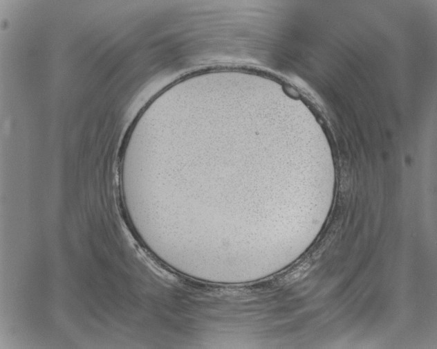 X0000060801287200512082140