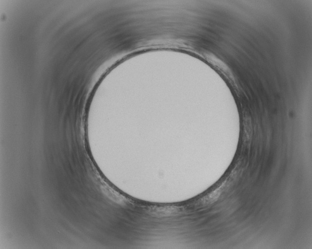 X0000060801288200512082140