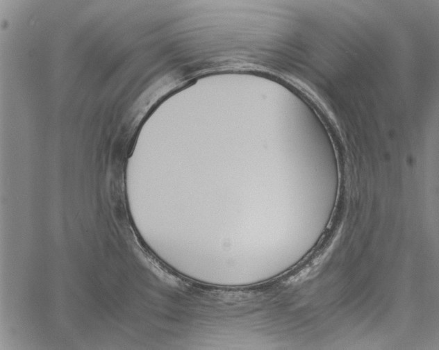 X0000060801289200512082140