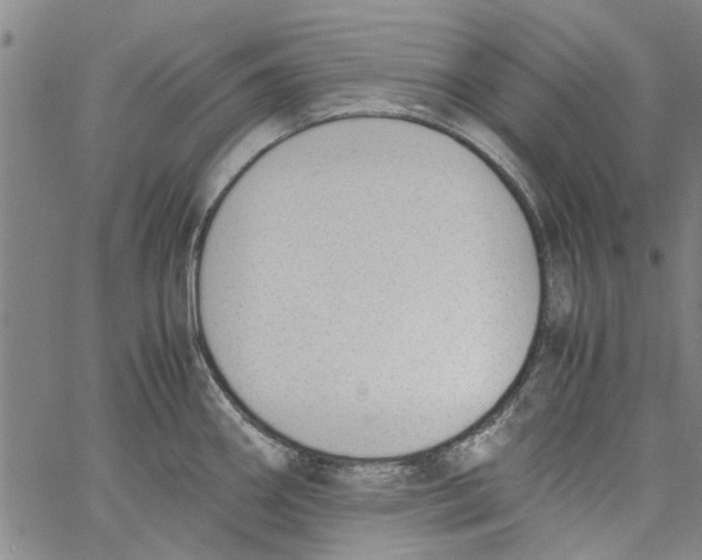 X0000060801290200512082140