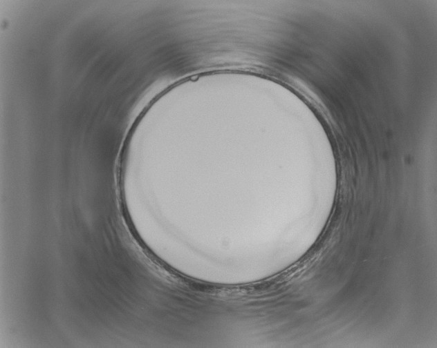 X0000060801291200512082140