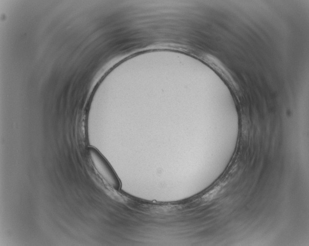 X0000060801292200512082140