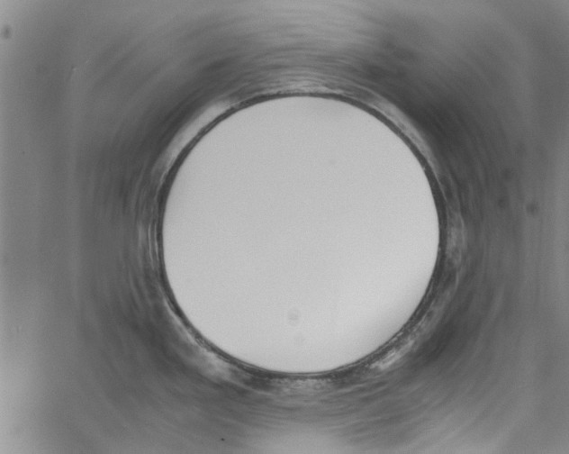 X0000060801293200512082140