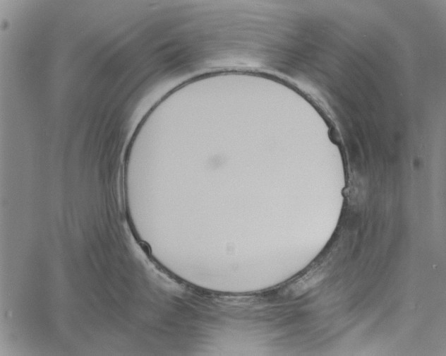 X0000060801295200512082140