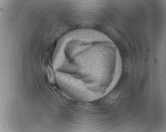 X0000060801298200512082139