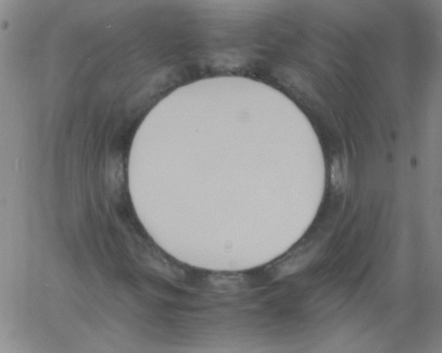 X0000060801299200512082139