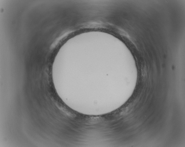 X0000060801304200512082140