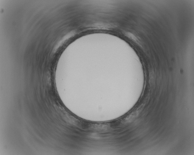 X0000060801307200512082140