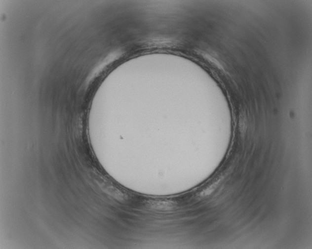 X0000060801309200512082140