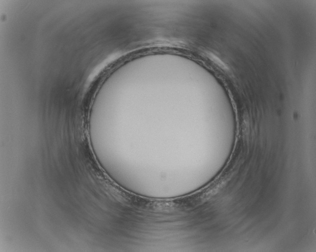 X0000060801310200512082140