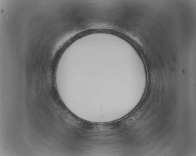 X0000060801311200512082140