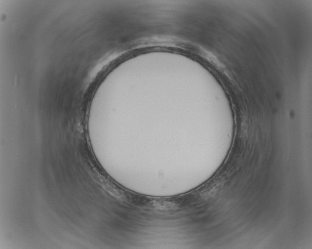 X0000060801312200512082140