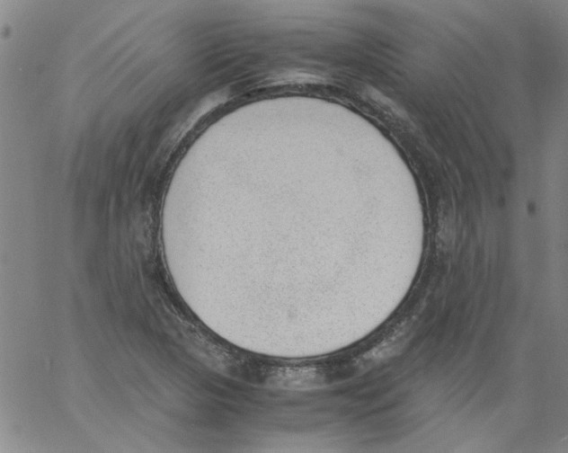 X0000060801313200512082140