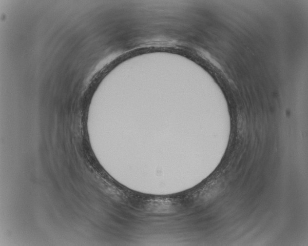 X0000060801315200512082140