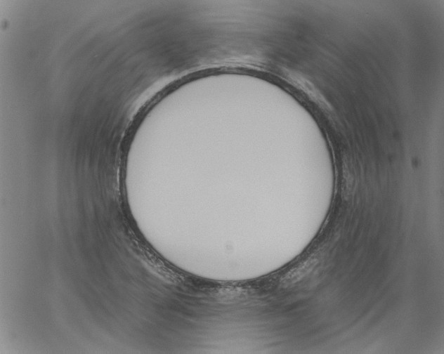 X0000060801316200512082140