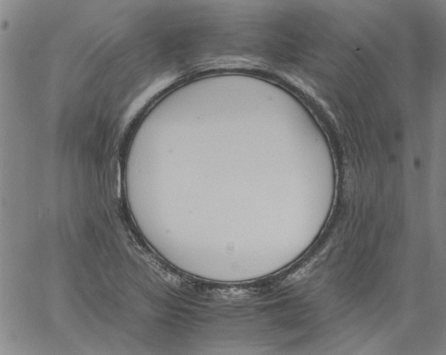 X0000060801317200512082140